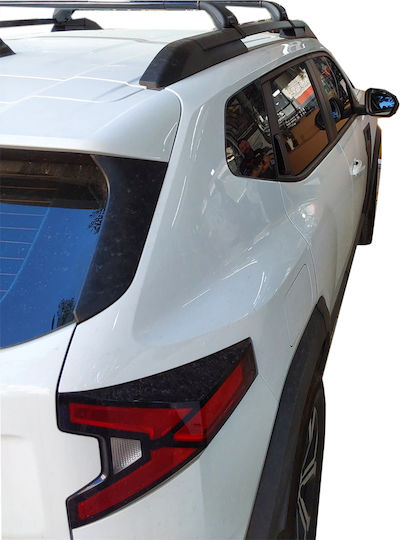 Nordrive für Dacia Staubwedel 2024+ (mit Dachträgerfüßen)