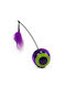 Cat Ball Feather Colorful