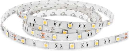 Lucas LED Strip 24V Warm White Light