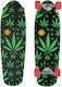 Long Island Longboards 8.25" Complete Longboard Πράσινο