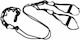 Fitness Straps