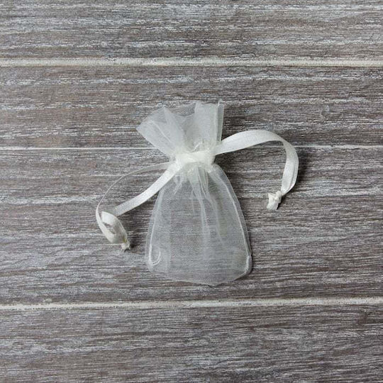 Reissack Organza Set/10 5x7,6cm Ecru