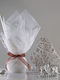 Classic Wedding Favor 16t168 Rotten Apple