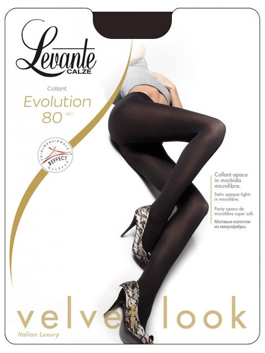 Evolution