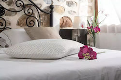 Alpha Foam Classic Aloe Vera Memory Foam Ανατομικό 45x65x12cm