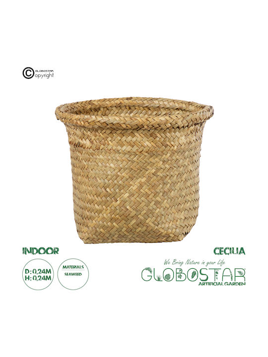 Globostar Artificial Garden Cecilia 20342 Decorative Wicker Basket Planter Flower Pot Beige Φ24cm X H24cm