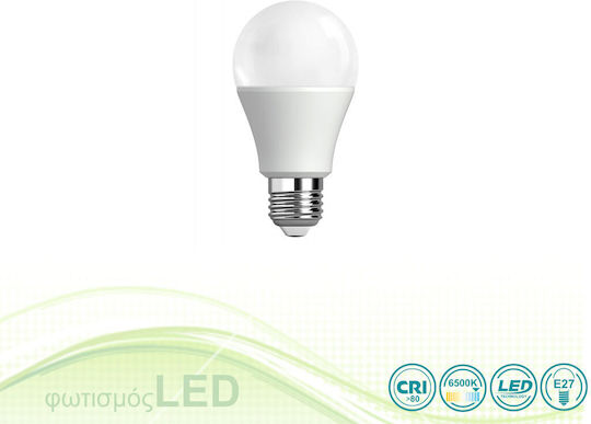SoleLuce LED Bulb 9W for Socket E27 and Shape A60 Cool White