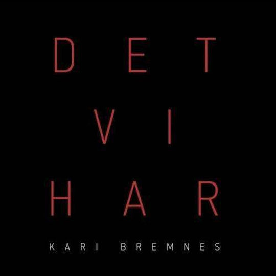 Kari Bremnes Det Vi Har 2 Vinyl