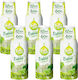 Fruttamax Sirop Var Mentă Soc 500ml 6 Bucăți