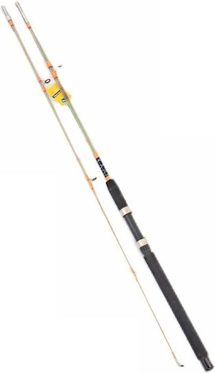 Fishing Rod for Casting 2.7m 100-200gr
