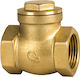 1 Inch Flap Check Valve