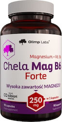 Olimp Sport Nutrition Χηλικό Δισγλυκινικό Μαγνήσιο 250mg 90 κάψουλες
