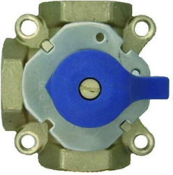 Goshe Valve