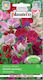 Polan Seeds Cabbage 3gr