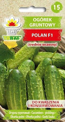 Toraf Семена Краставица