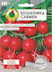 Carmen Radish Polish Variety Year-round Cultivation Seeds