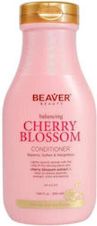 Beaver Cherry Blossom Beaver Cherry Blossom