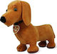 Λούτρινο Dachshund