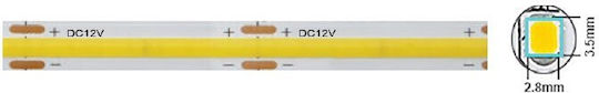 Vito LED Лента 12V Студено бяло Светлина 5м Тип COB