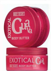 Accentra Butter De Corp 200ml Accentra Butter De Corp 200ml