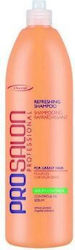 Chantal Prosalon Sebum Control Shampoo 1000gr Chantal Prosalon Sebum Control Shampoo 1000gr