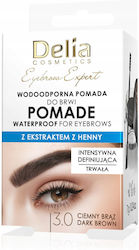 Delia Cosmetics Eyebrow Expert 7gr