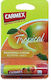 Carmex Lip Balm Tropical 4.25gr
