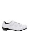 FLR F-37 Unisex Χαμηλά Παπούτσια Ποδηλασίας Δρόμου Λευκά