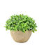 Artificial Flowers Plants 13*15cm