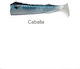 JLC Body Artificial Bait 8cm