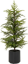Tree Real 90cm Tree Real 90cm