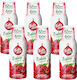 Fruttamax Himbeer Sirup 500ml 6 Stück