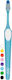 TePe Nova Toothbrush Medium (Random Selection)