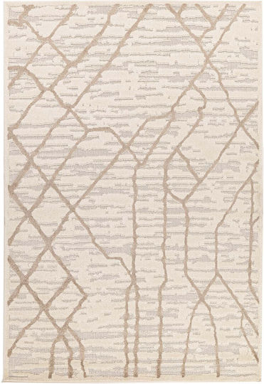 Royal Carpet Chiara 40001 Royal Carpet Chiara 40001