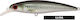 Τεχνητό Akami Real Minnow 10cm Llisa