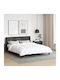 vidaXL Duvet Double Down 200x200cm White