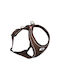 Curli Belka Comfort Dog Harness Large Brown