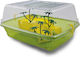 Reptile Terrarium Green