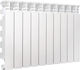 Fondital Aluminum Radiator Body