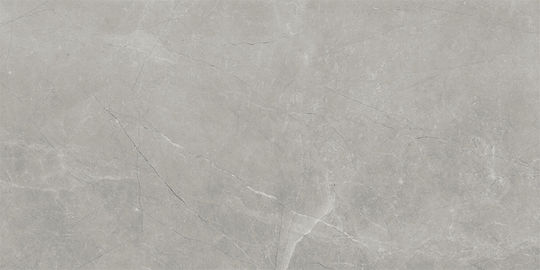 Baldocer Pulido Fliese Boden Innenbereich 120x60cm Silver