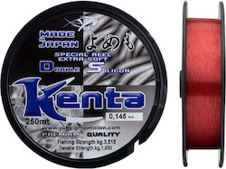 Fishing Line Yuki Kenta 250m 0.30mm