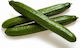 Rijk Zwaan Seeds Cucumber 500pcs