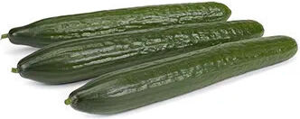 Rijk Zwaan Seeds Cucumber Long 500pcs