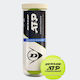 Dunlop Atp Championship Tennis Balls 3 Pieces 3-ball Can