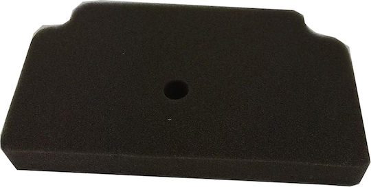 Air Filter Kawasaki Zx130/Xcite 135/Gt130 Genuine