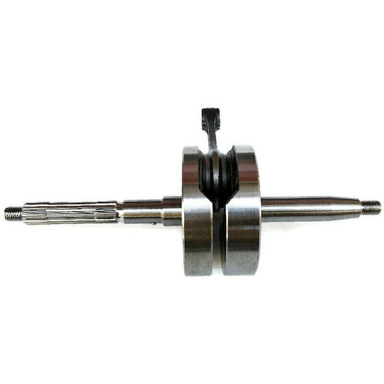 Daytona Motorcycle Crankshaft Daytona Ezio 50