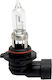 Würth Bec Auto Hb3 Faruri 12 V 60 W P 20d
