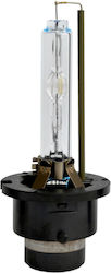 Würth Hid Xenon D4s Car Bulb Xenon 12 V Würth Hid Xenon D4s Car Bulb Xenon 12 V