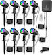 Set 8 Lămpi Solare RGB cu Senzor de Mișcare și Telecomandă IP66