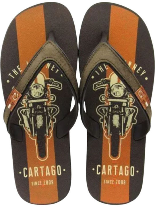 Dakar Ανδρικά Flip Flops Καφέ